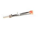 00-858466-00001 Vulcan Hart Drain Probe