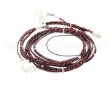 00-892651 Hobart Harness,Sensor