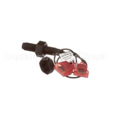 00-916902-00003 Berkel Switch,Reed