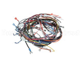 00-919690 Hobart Harness,Main,Cntrl Box