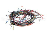 00-919690 Hobart Harness,Main,Cntrl Box