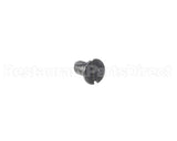 00-938005-00007 Berkel Screw