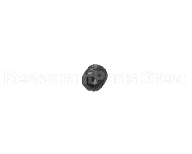 00-938005-00008 Berkel Screw