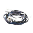 00-941873 Compatible Hobart Harness, Temperatureprobes