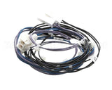 00-941873 Hobart Harness,Temperature Probes