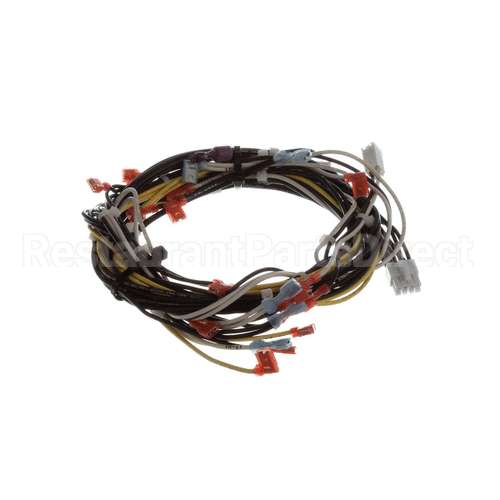 00-941880 Hobart Harness, 120V