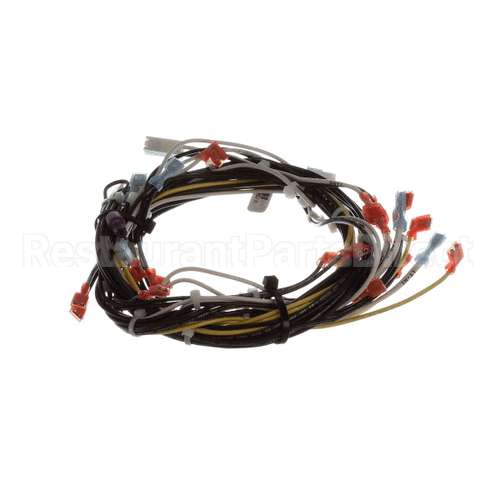 00-941880 Hobart Harness, 120V