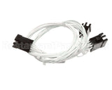 00-958455-000G1 Hobart Harness, Vk Main
