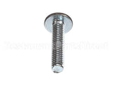 00-959087-00001 Vulcan Hart Screw,1/4-20 X 1.25,Black Hd