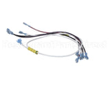 00-960807 Vulcan Hart Wire Harness Vcw