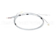 00-974062 Hobart Cable, Assembly, Temp Probes, Pw10