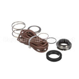 00-975644 Somat Seal Kit (Gould)