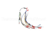 00-976534-00024 Vulcan Hart Harness Main, Vccg Ir 24 Inch