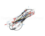 00-976534-00060 Vulcan Hart Harness Main, Vccg Ir 60 Inch