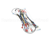 00-976534-00060 Vulcan Hart Harness Main, Vccg Ir 60 Inch