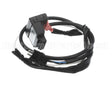 00-976589 Vulcan Hart Harness, Gas Valve Connection