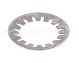 000000000110000095 Bizerba Cup Spring