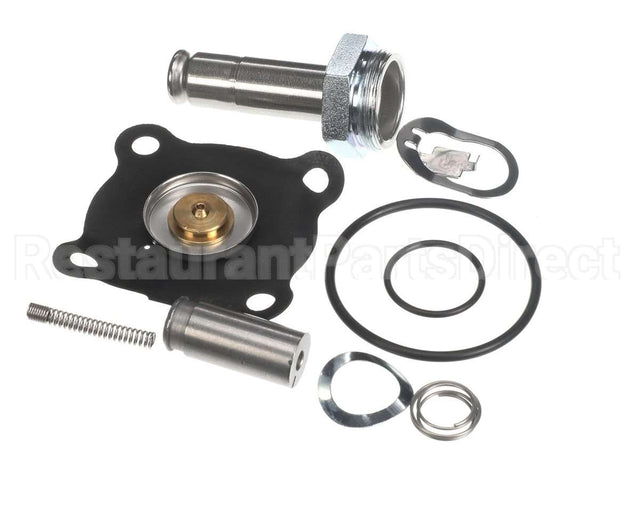 000012039 Gaylord 34 Valve Repair Kit