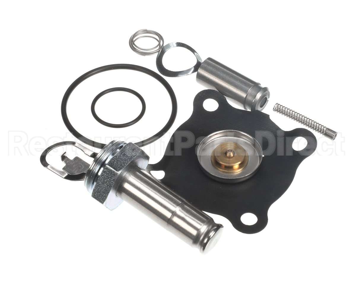 000012039 Gaylord 34 Valve Repair Kit