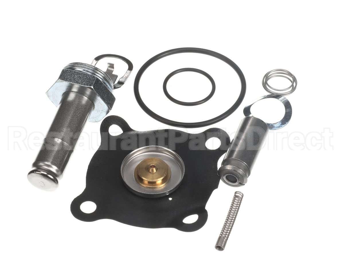 000012039 Gaylord 34 Valve Repair Kit