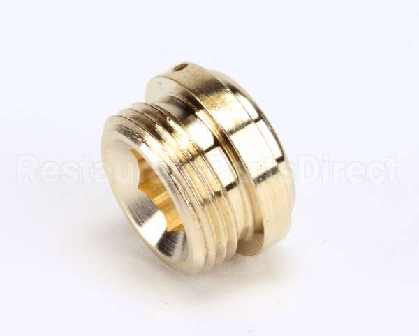 000763-20 T&S Brass Removable Brass Seat For Old-Style B-110