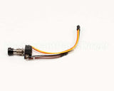 0010251 Antunes Start/Stop Switch Assembly