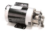 00200.10 Cma Pump Assembly 115/220V 60Hz (Open)