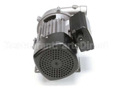 00200.70 Cma Ss Pump 220V/60Hz Motor Assembly 1