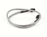 00203-0100 Antunes Assembly, Cable 22 (Ut)