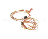 00203-0102 Antunes Wire-Assembly, Ut