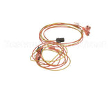 00203-0102 Antunes Wire-Assembly, Ut