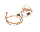 00203-0102 Antunes Wire-Assembly, Ut