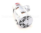 00206073 Multiplex Air Pump/Motor 220/50