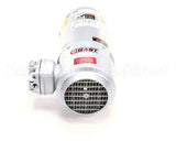 00206073 Multiplex Air Pump/Motor 220/50