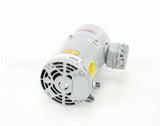 00206105 Multiplex Air Pump Pump/Motor Assembly 120V6
