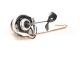 00213237 Multiplex Motor Assembly