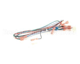 00213831 Multiplex Harness Water And Soda Sw