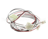00218686 Multiplex Harness Cal Sta 7 & 8