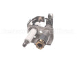 002234F Raypak Pilot Assy