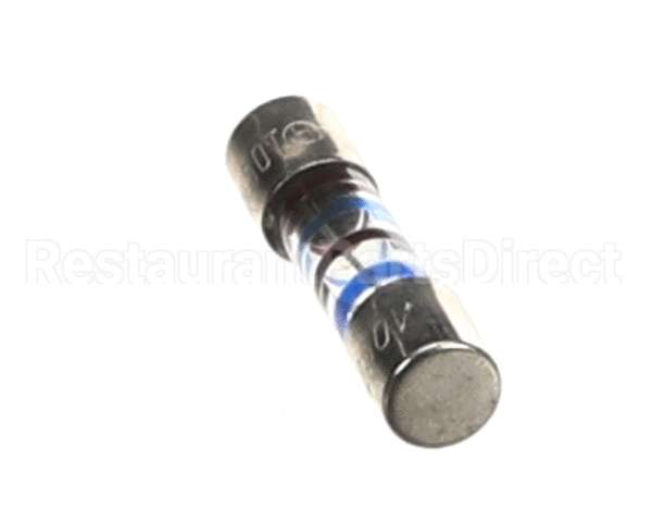 002820 Electrolux Professional Fuse, 160Ma, Slow-Acting