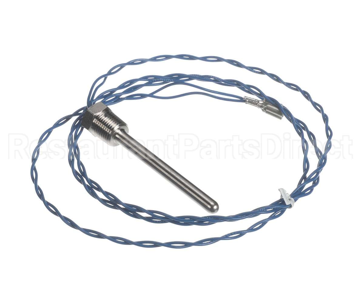 006532F Raypak Probe