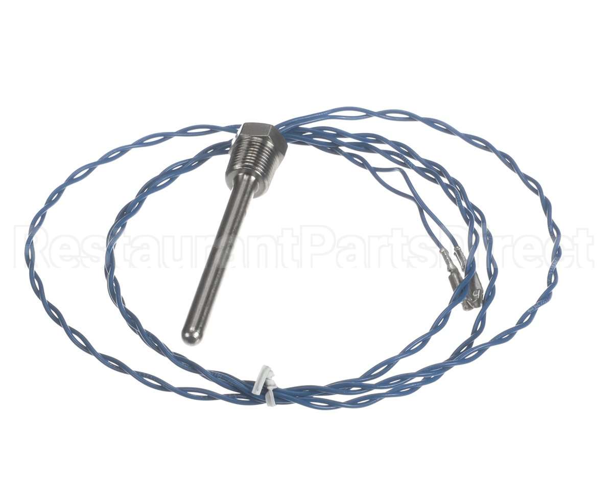 006532F Raypak Probe