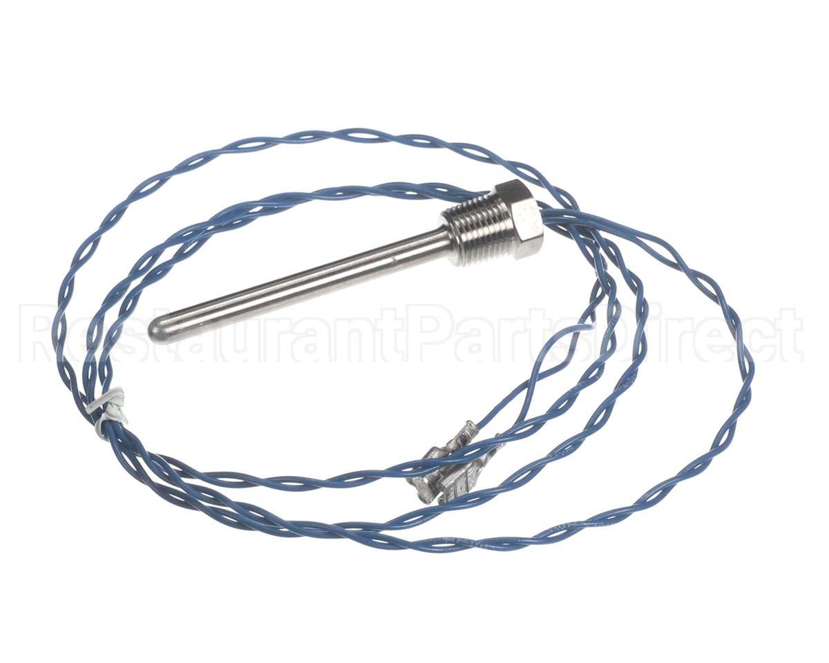 006532F Raypak Probe