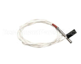 006609 Electrolux Professional Probe
