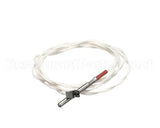 006609 Electrolux Professional Probe