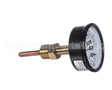 007399F Raypak Temp/Pressure Gauge