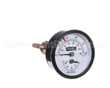007399F Raypak Temp/Pressure Gauge