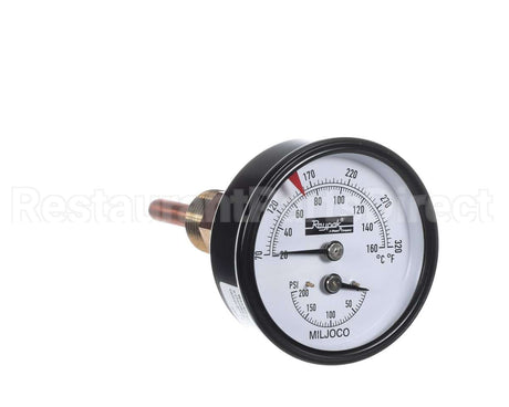 007399F Raypak Temp/Pressure Gauge