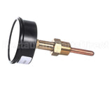 007399F Raypak Temp/Pressure Gauge