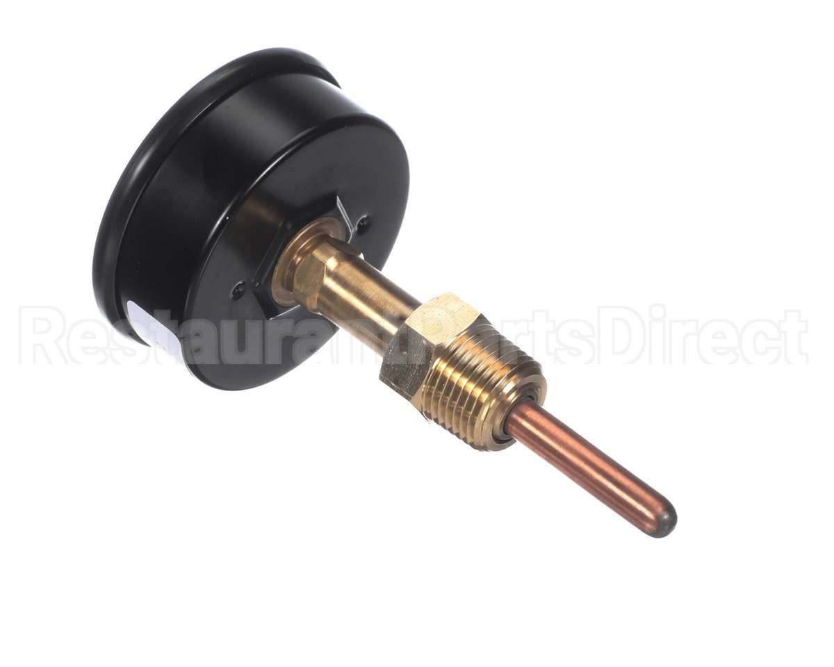 007399F Raypak Temp/Pressure Gauge